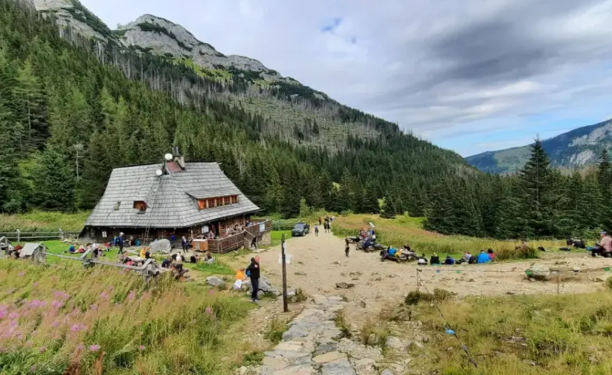 Schroniska Zakopane - Jak wybrać najlepsze? Poradnik